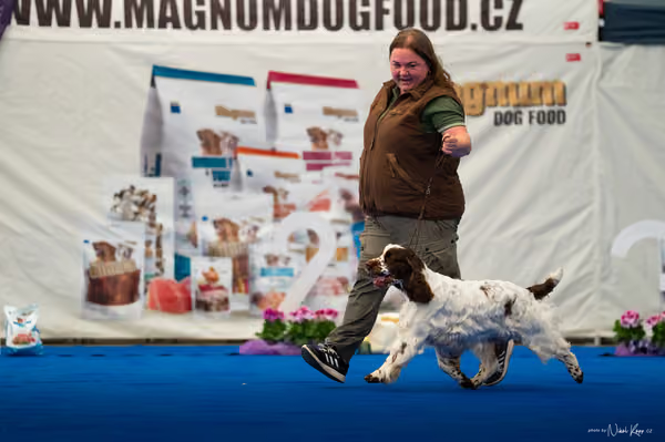 For Pets Cup – DOSPĚLÝ