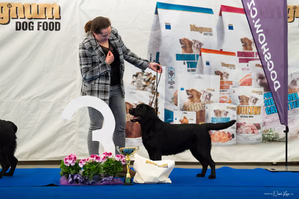 For Pets Cup – DOSPĚLÝ
