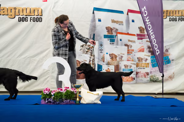 For Pets Cup – DOSPĚLÝ