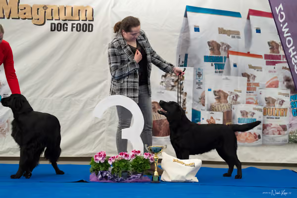 For Pets Cup – DOSPĚLÝ
