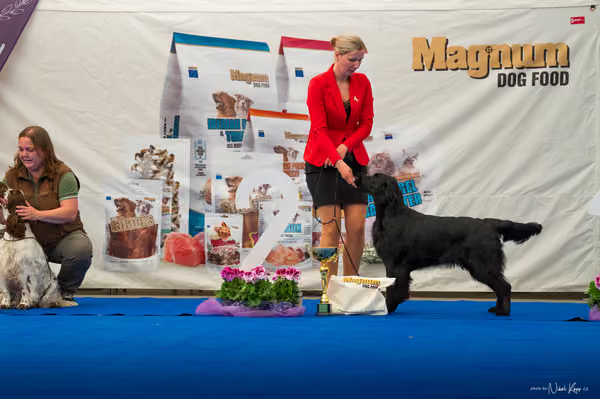 For Pets Cup – DOSPĚLÝ