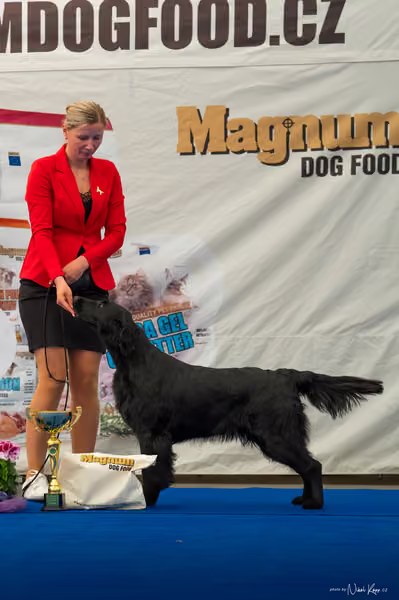 For Pets Cup – DOSPĚLÝ