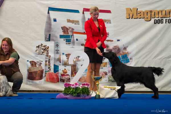 For Pets Cup – DOSPĚLÝ