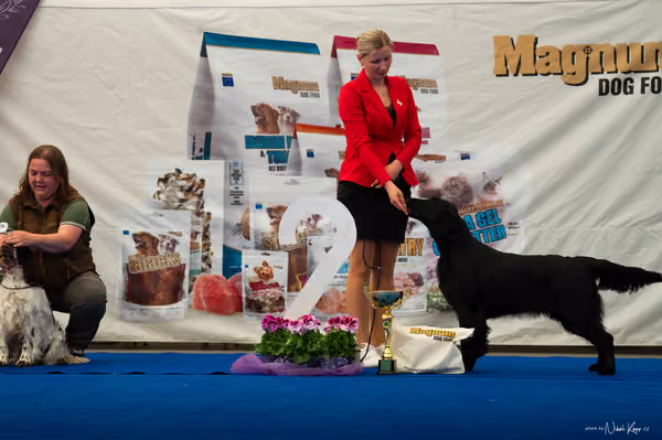 For Pets Cup – DOSPĚLÝ