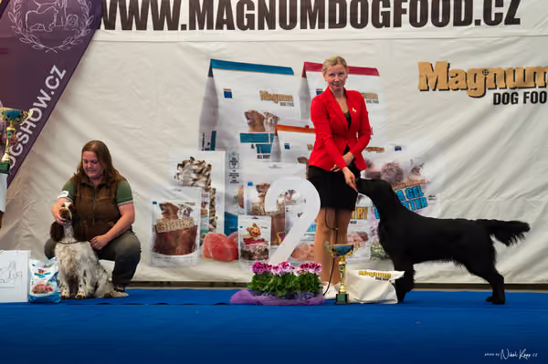 For Pets Cup – DOSPĚLÝ