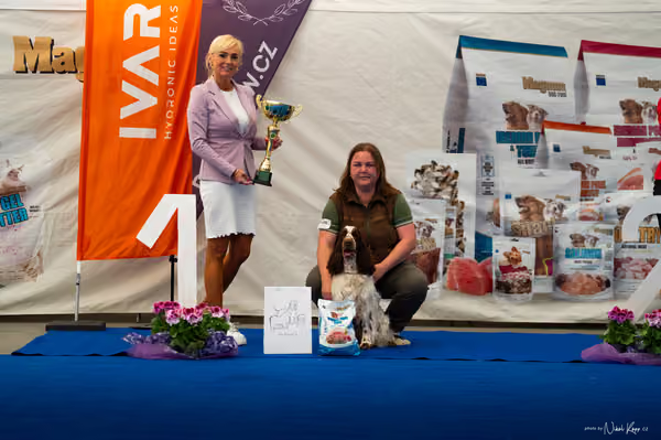 For Pets Cup – DOSPĚLÝ