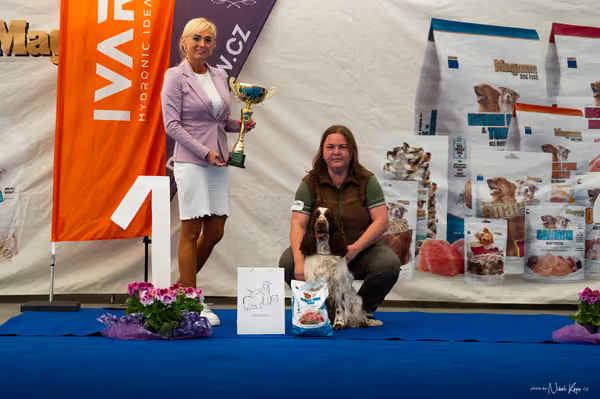 For Pets Cup – DOSPĚLÝ