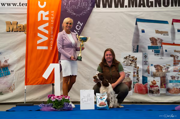 For Pets Cup – DOSPĚLÝ