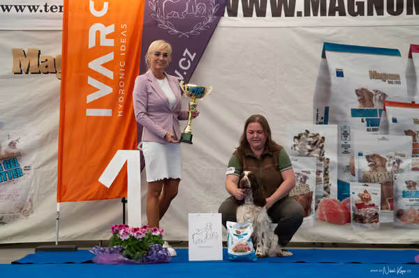 For Pets Cup – DOSPĚLÝ