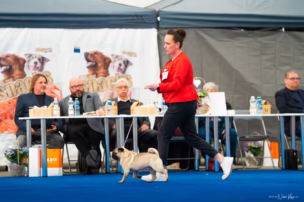For Pets Cup – DOSPĚLÝ