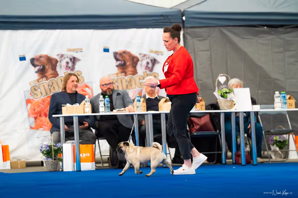 For Pets Cup – DOSPĚLÝ