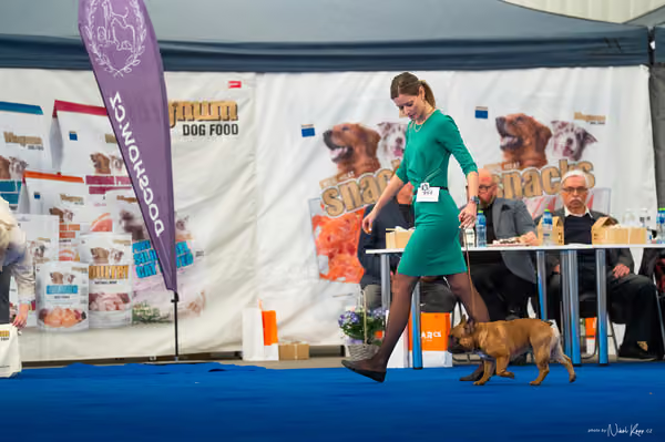 For Pets Cup – DOSPĚLÝ