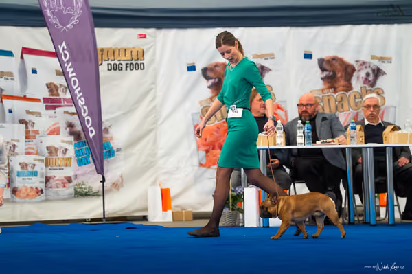 For Pets Cup – DOSPĚLÝ