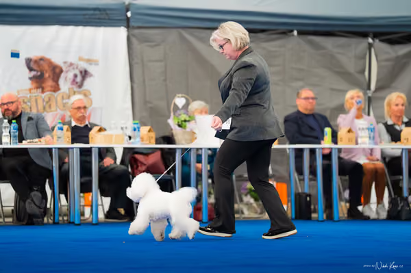 For Pets Cup – DOSPĚLÝ