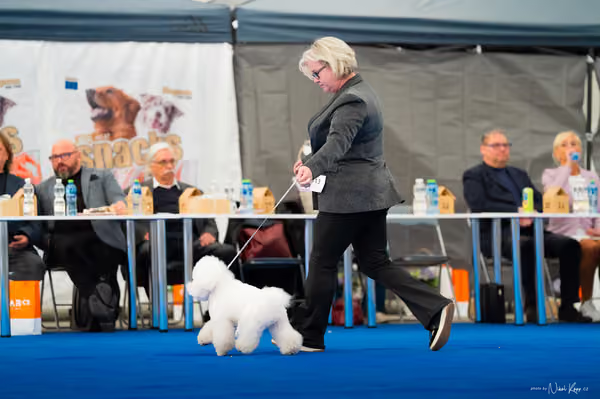For Pets Cup – DOSPĚLÝ