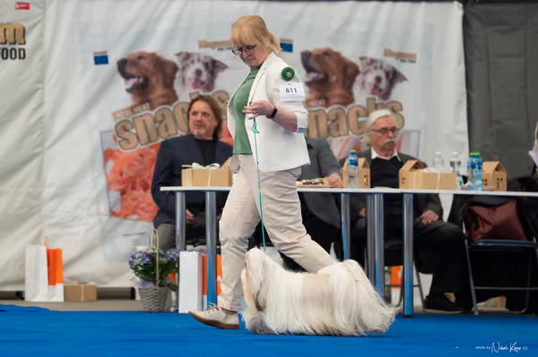 For Pets Cup – DOSPĚLÝ