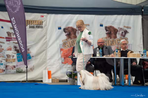 For Pets Cup – DOSPĚLÝ