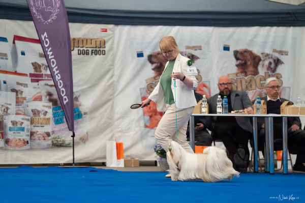 For Pets Cup – DOSPĚLÝ