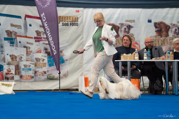 For Pets Cup – DOSPĚLÝ