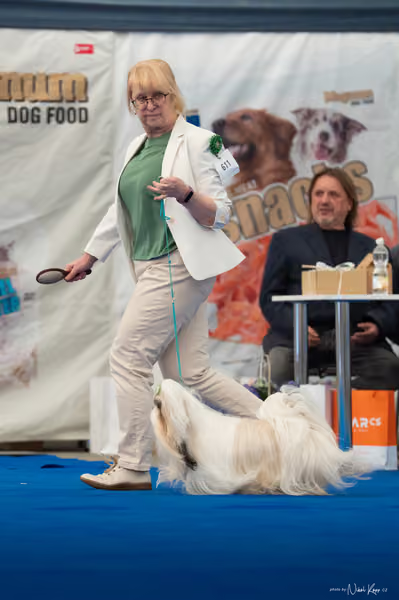 For Pets Cup – DOSPĚLÝ