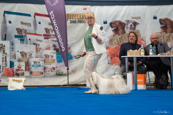 For Pets Cup – DOSPĚLÝ