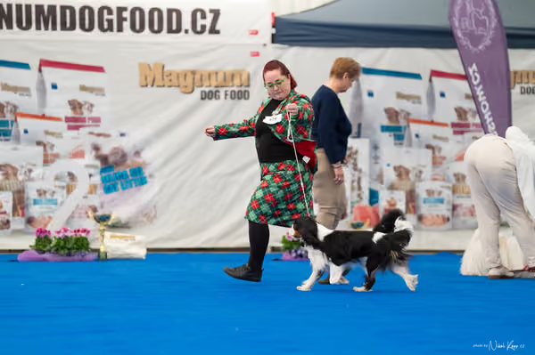 For Pets Cup – DOSPĚLÝ