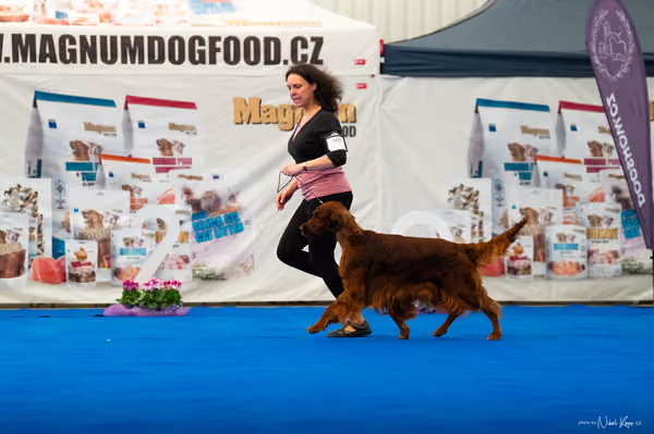 For Pets Cup – DOSPĚLÝ