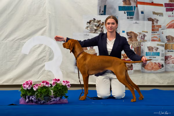 For Pets Cup – DOSPĚLÝ