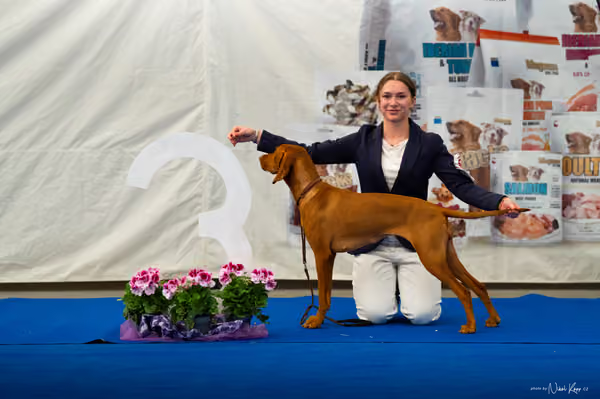 For Pets Cup – DOSPĚLÝ
