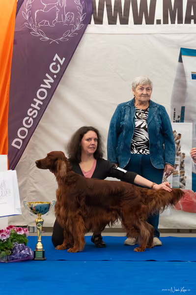 For Pets Cup – DOSPĚLÝ