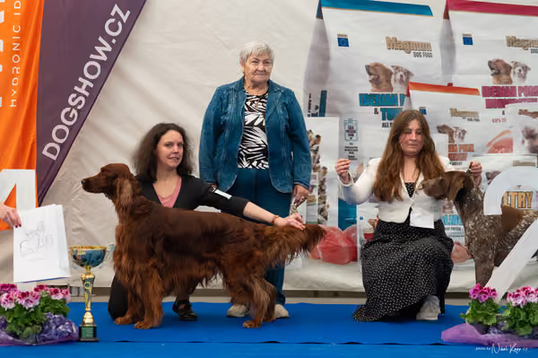 For Pets Cup – DOSPĚLÝ