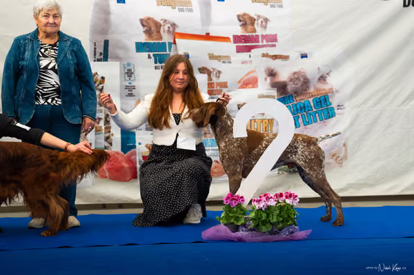 For Pets Cup – DOSPĚLÝ