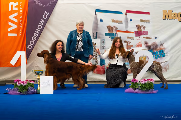 For Pets Cup – DOSPĚLÝ
