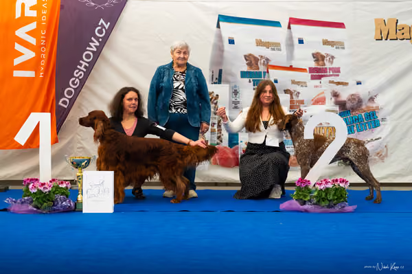 For Pets Cup – DOSPĚLÝ