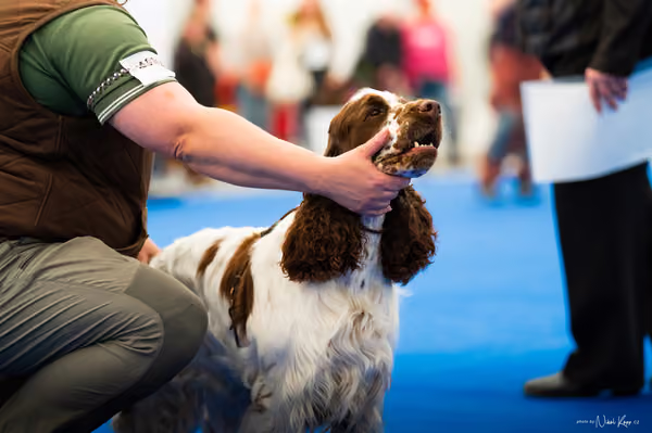 For Pets Cup – DOSPĚLÝ