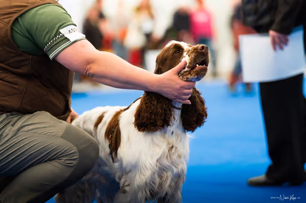 For Pets Cup – DOSPĚLÝ
