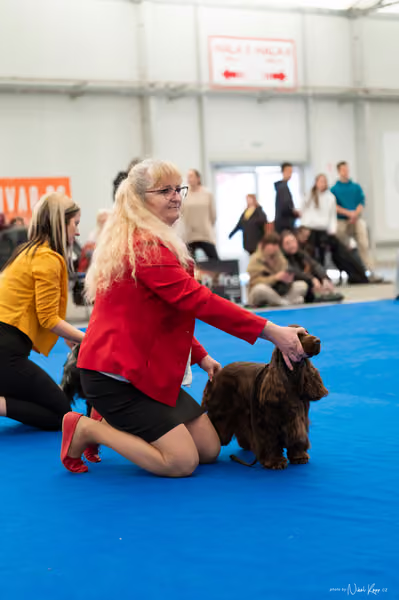 For Pets Cup – DOSPĚLÝ