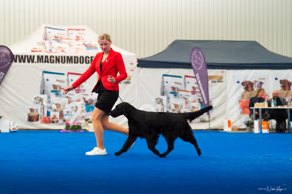 For Pets Cup – DOSPĚLÝ