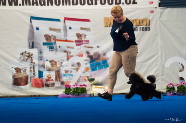 For Pets Cup – DOSPĚLÝ