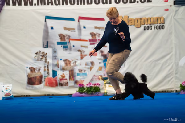 For Pets Cup – DOSPĚLÝ