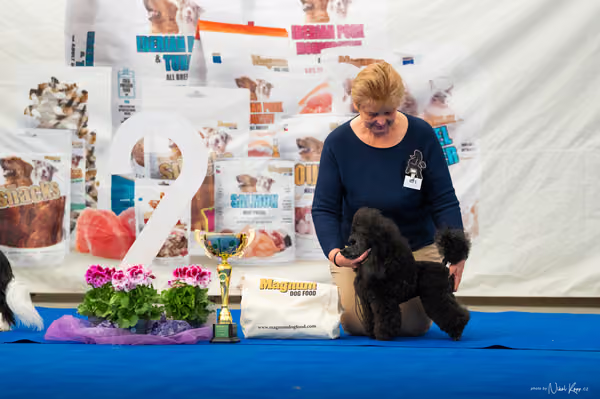 For Pets Cup – DOSPĚLÝ