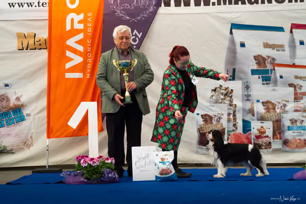 For Pets Cup – DOSPĚLÝ