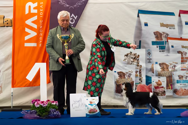 For Pets Cup – DOSPĚLÝ