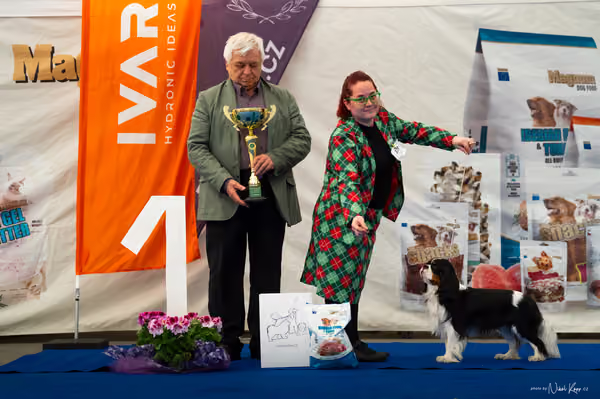 For Pets Cup – DOSPĚLÝ