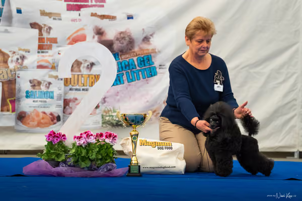 For Pets Cup – DOSPĚLÝ