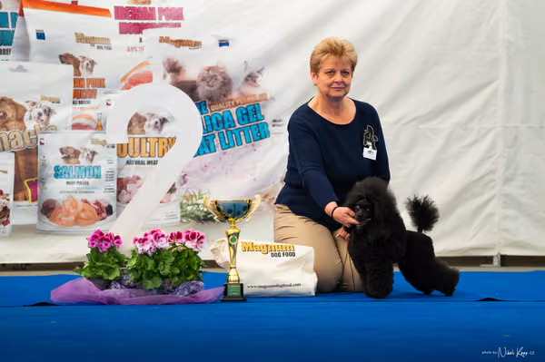 For Pets Cup – DOSPĚLÝ