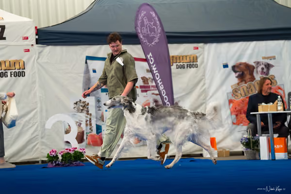 For Pets Cup – DOSPĚLÝ