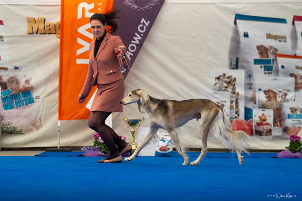 For Pets Cup – DOSPĚLÝ