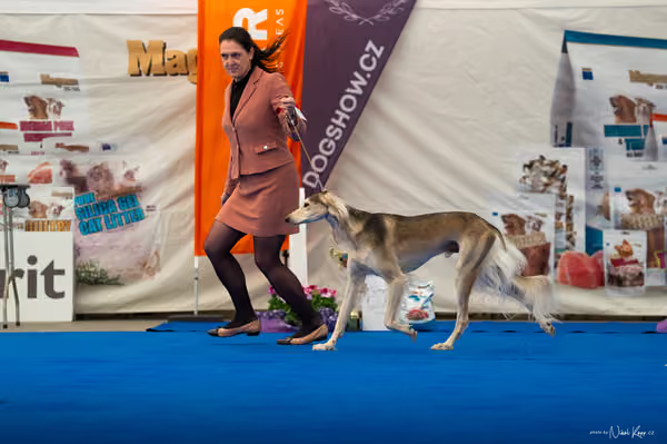 For Pets Cup – DOSPĚLÝ