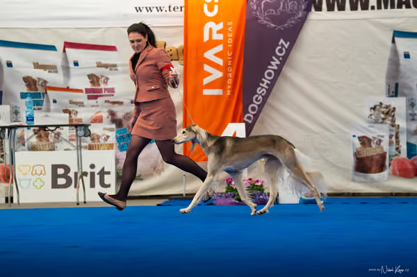 For Pets Cup – DOSPĚLÝ
